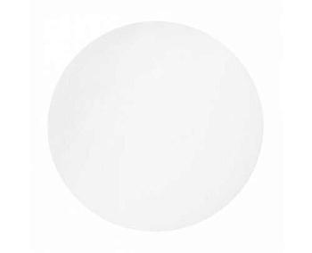 Мембранный фильтр марки ПЭС-0,45, диск 25 мм, пор.0,45 мкм, полиэфирсульфон, 250 шт/упак