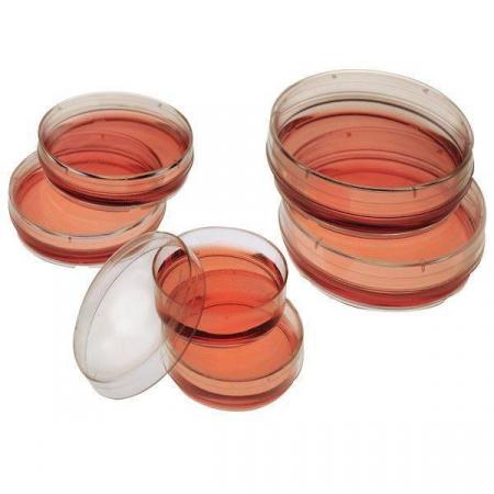 Чашка Петри, 35/14 мм, стерильная, полистирол, 10 шт/упак - В наличии