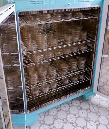 Суховоздушный медицинский стерилизатор, 640 л, 50-200 °С, с принуд. охлаждением,  с рег. удост-ем.,